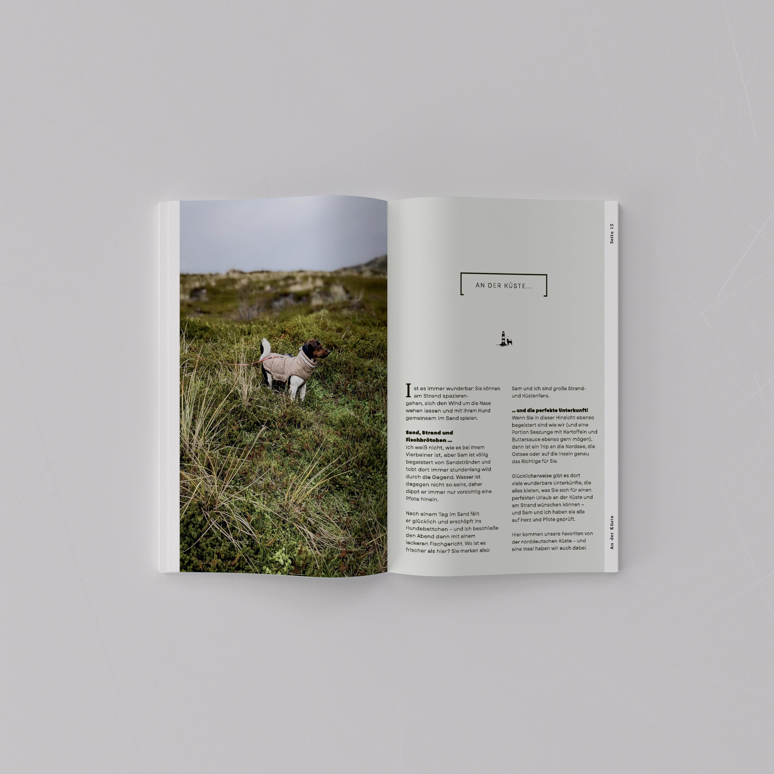 “Traveling with Dogs” (1. Auflage)